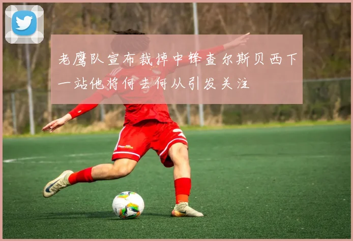 老鹰队宣布裁掉中锋查尔斯贝西下一站他将何去何从引发关注