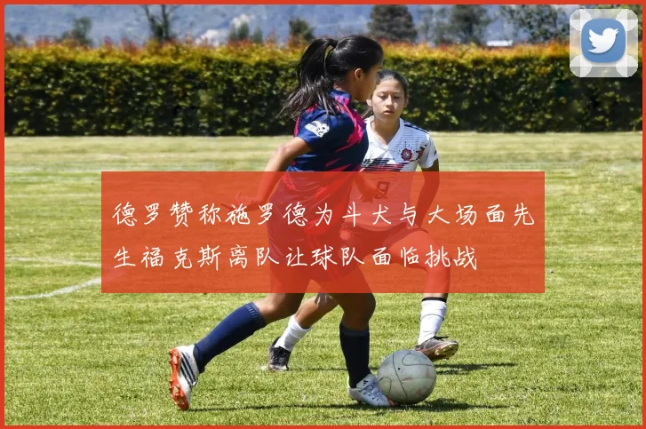 德罗赞称施罗德为斗犬与大场面先生福克斯离队让球队面临挑战