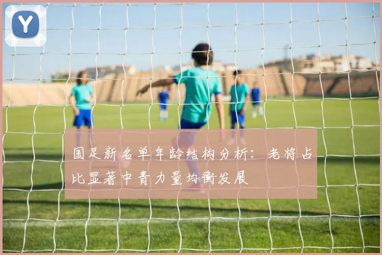 国足新名单年龄结构分析：老将占比显著中青力量均衡发展