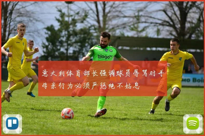 意大利体育部长强调球员辱骂对手母亲行为必须严惩绝不姑息