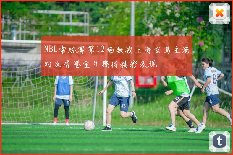 NBL常规赛第12场激战上海玄鸟主场对决香港金牛期待精彩表现