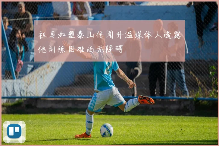 祖马加盟泰山传闻升温媒体人透露他训练困难尚无障碍
