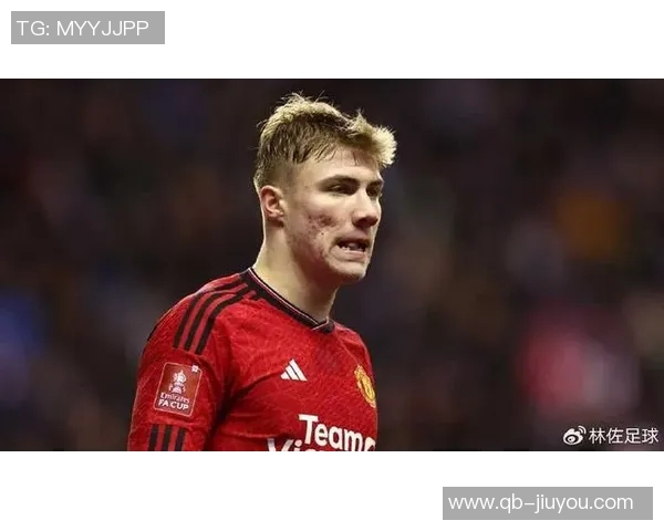 约克称舍什科潜力更大视为霍伊伦的升级版